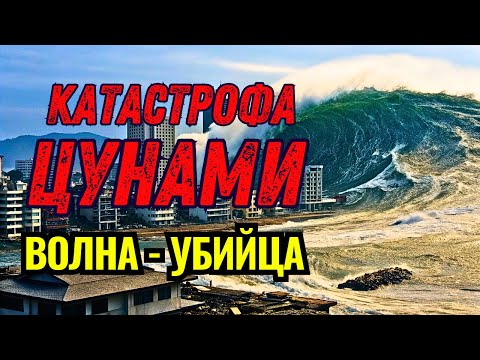 ЦУНАМИ в АЗИИ 2004г. // Землетрясение, утопившее 230 000 человек
