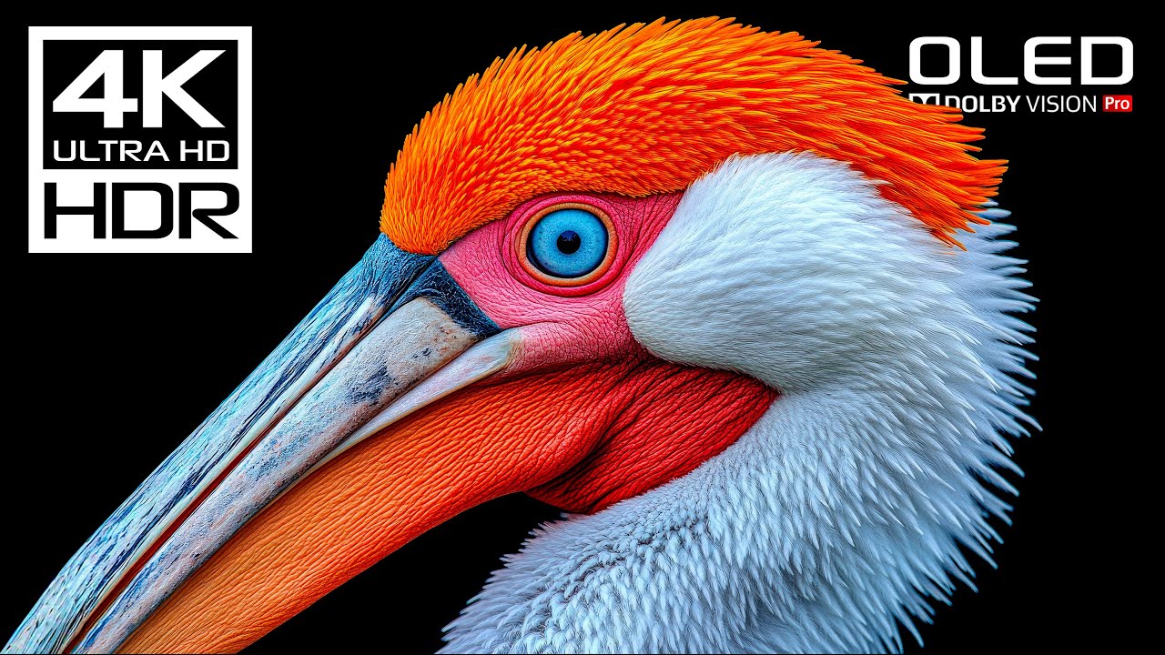 Unseen 4K HDR Dolby Vision 🌿 120 FPS Ultra HD Video