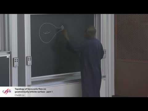 Cheikh Lo: Topology of horocyclic flow on geometrically infinite surface - part 1