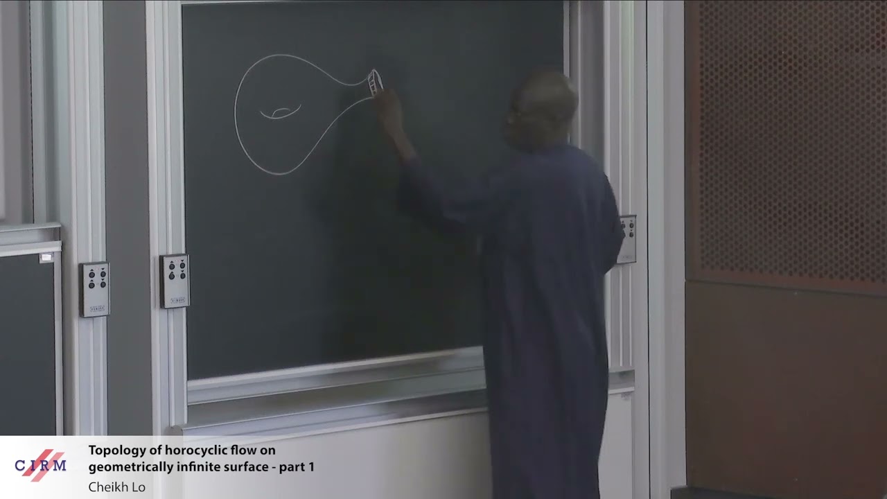 Cheikh Lo: Topology of Horocyclic Flow on Geometrically Infinite Surfaces - Part 1