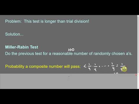 09 miller rabin test in action
