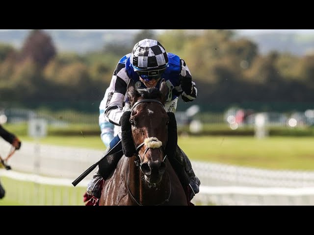 Melbourne Cup 2025: Is Al Riffa Overweight? International Preview 🏇