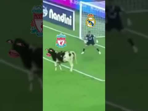 Resumo do jogo do Liverpool x Real Madrid! #futebol