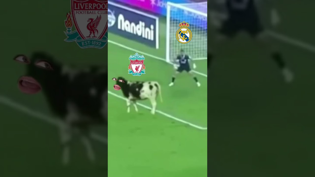 Resumo da Partida Liverpool x Real Madrid