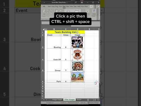 Excel tip to filter with images staying the right size #exceltips #excel #exceltricks