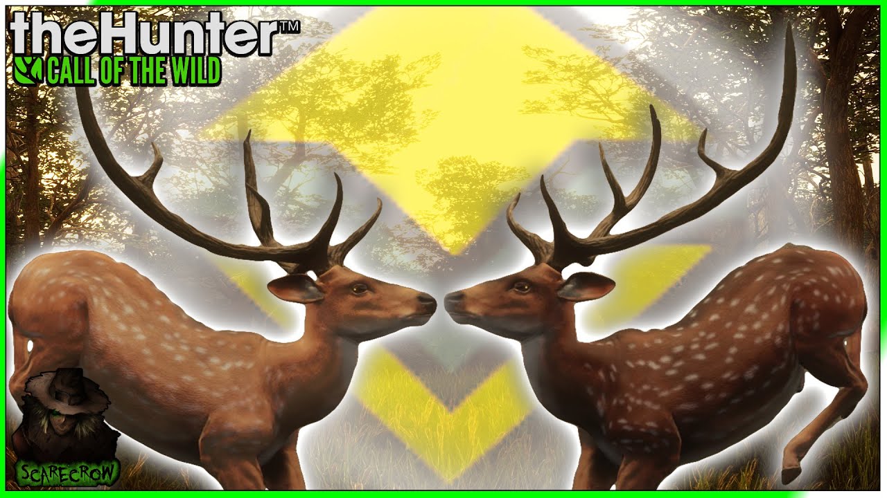 THERES NO WAY! 2 Diamond TruRACS Axis Deer IN THE SAME HERD! Call of the wild