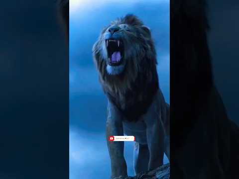 abbas alamdar Whatsapp video🏴❤️  #new