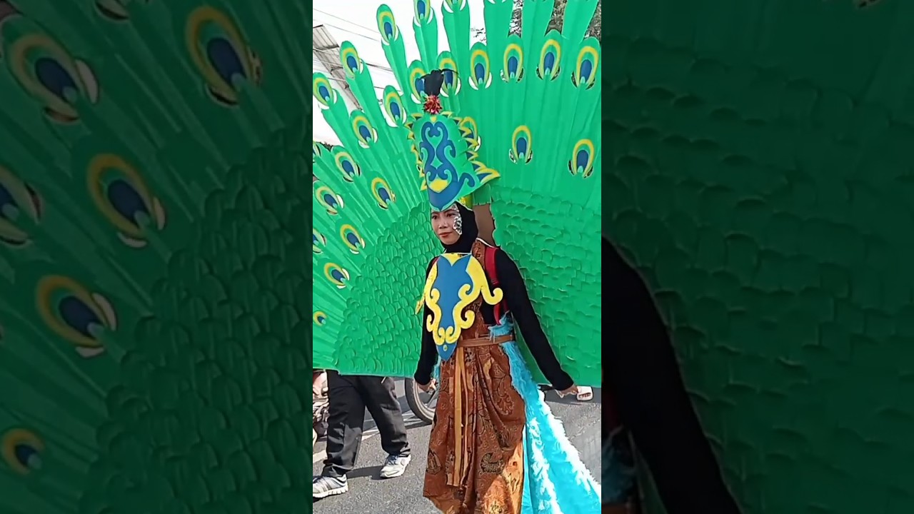 Kreativitas Merak yang Mengagumkan 😍