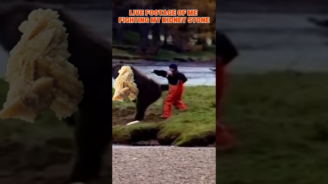 Conquer Kidney Stones with StoneFree AI 🧊