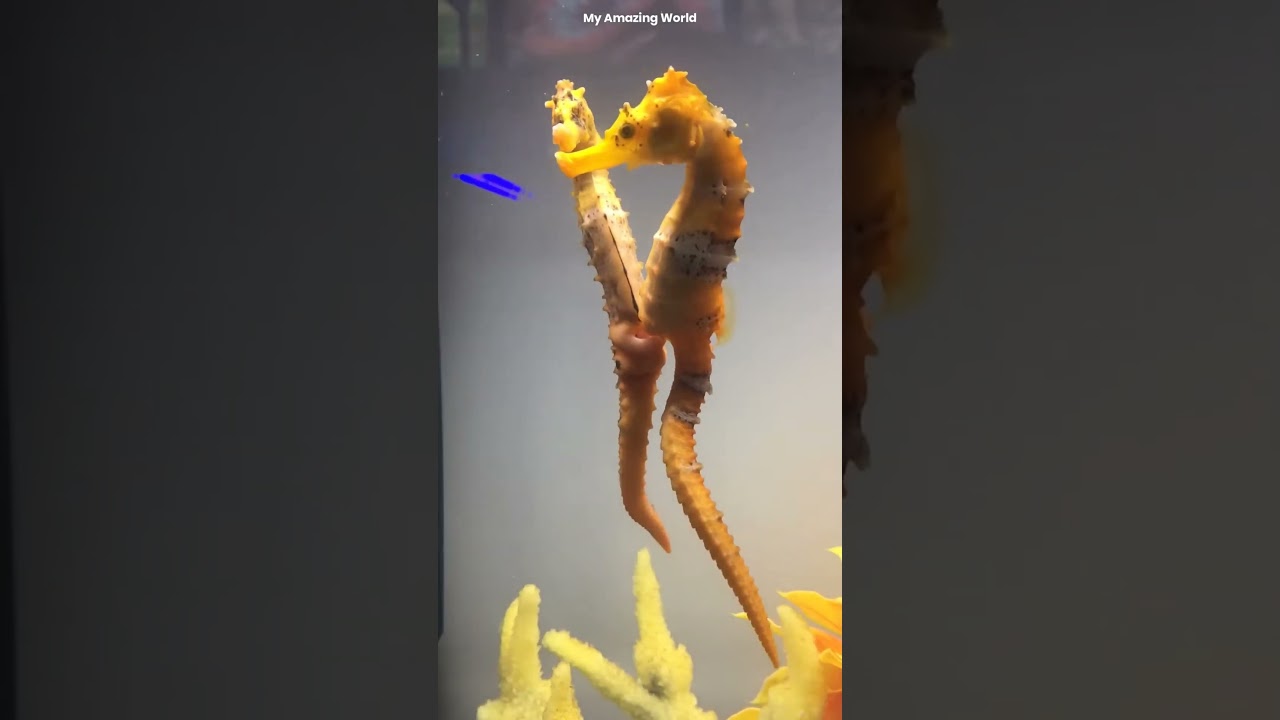 10 Amazing Animal Facts That Will Surprise You 🐾