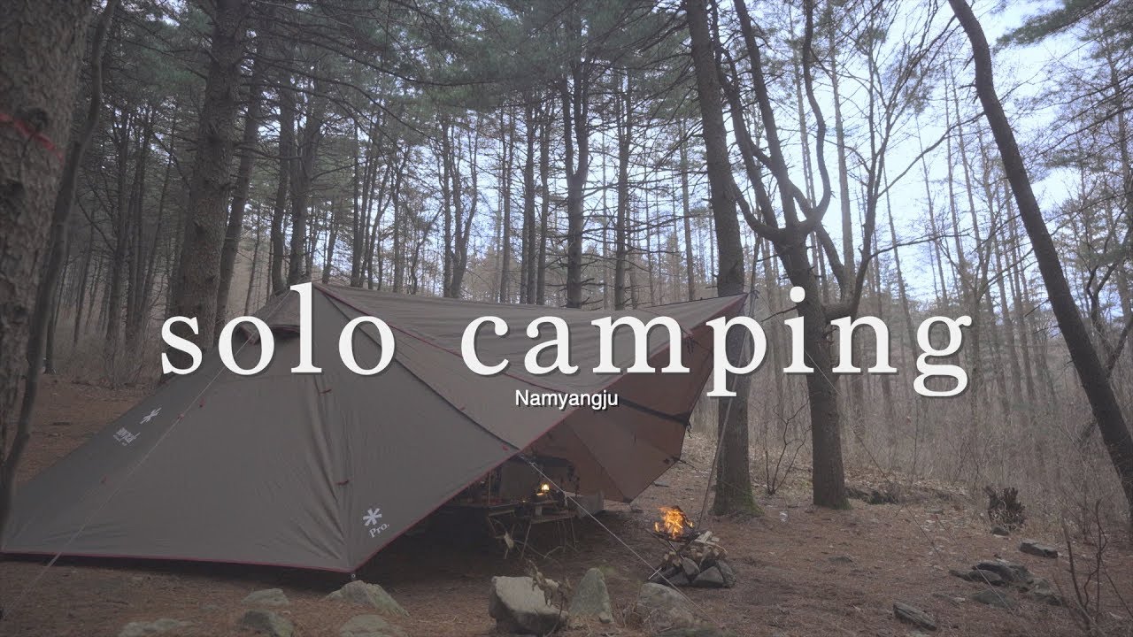 우중캠핑: 잣나무숲에서의 솔로 캠핑 🌲