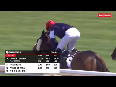 Melbourne Cup 2020 Review!