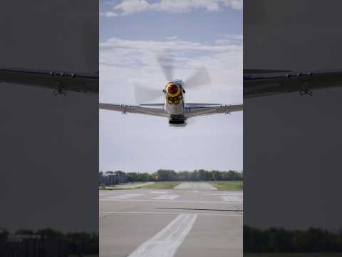 The ABSOLUTE best experience with a P-51 #takeoff #warbird #aviation #airplane #nikonz9 #asmr