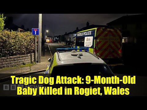 Tragic Dog Attack: 9-Month-Old Baby Killed in Rogiet, Wales