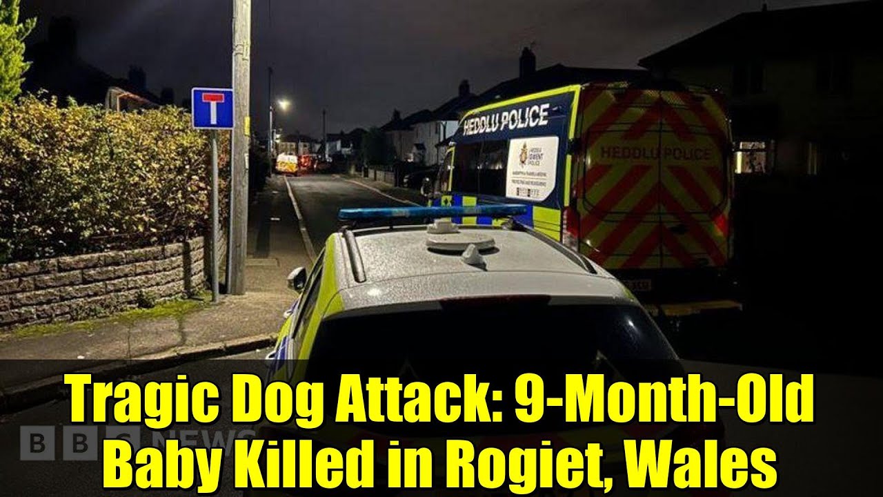 Heartbreaking Dog Attack Claims Baby’s Life in Rogiet, Wales 😢