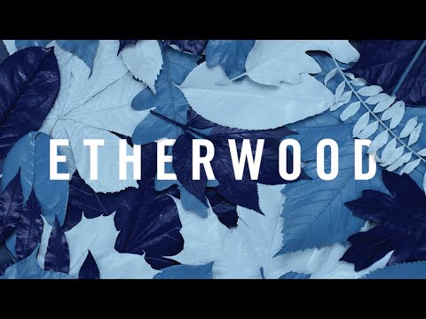 Etherwood ft. Eva Lazarus - Light My Way Home 🎶