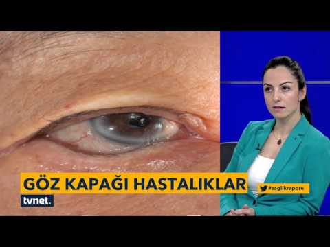 Sağlık Raporu Programı