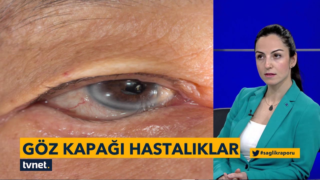 Sağlık Raporu Programı: Kolay ve Hızlı İşlem İmkanı 🏥