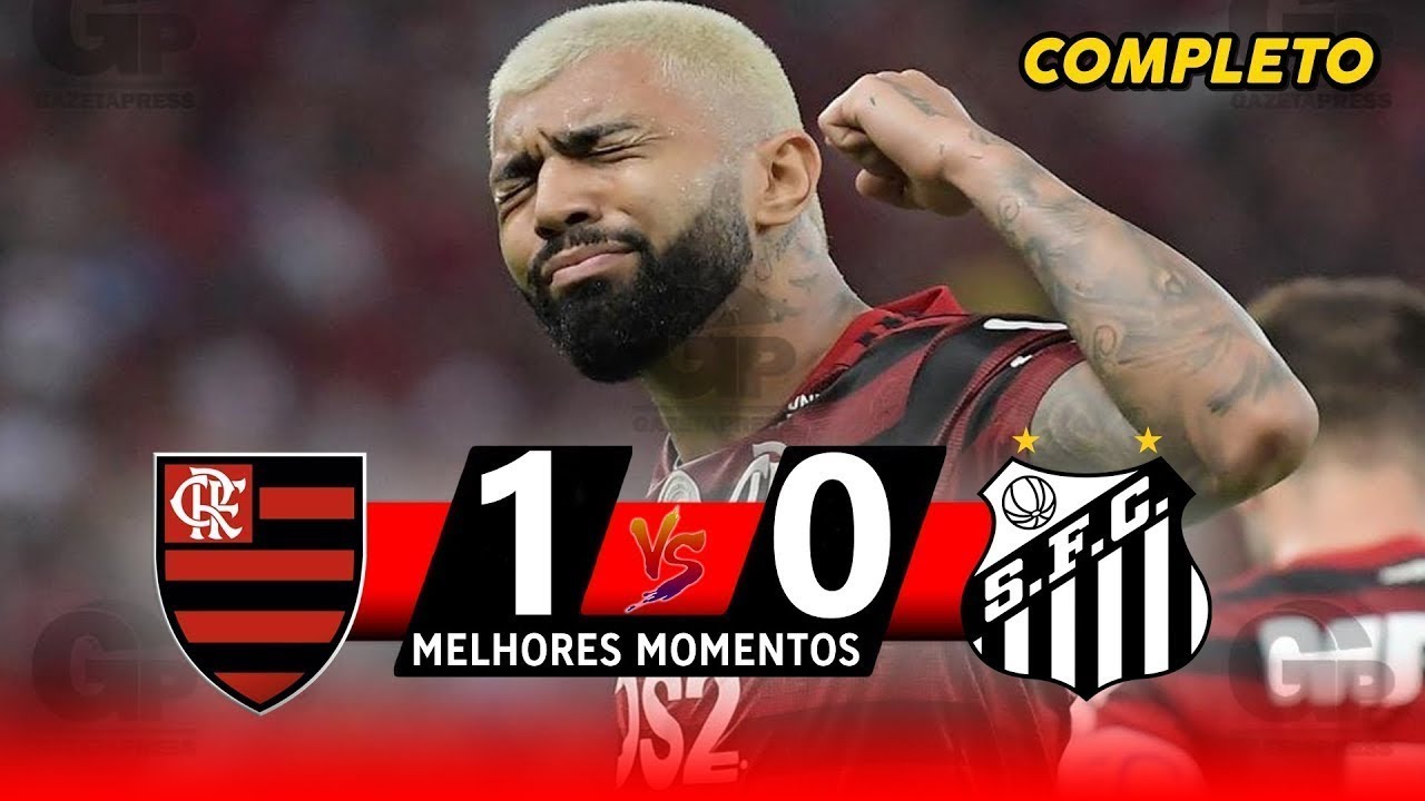 Flamengo 1-0 Santos | Golaço no Brasileirão 2019 ⚽