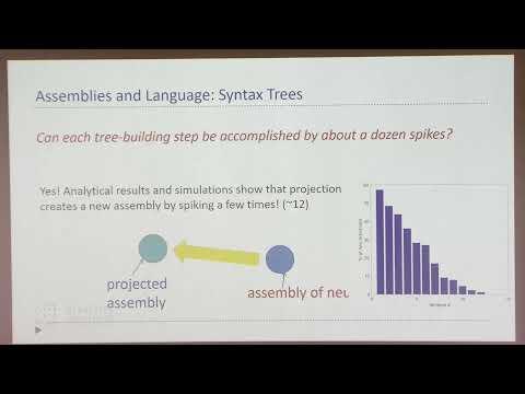 Coin-Flipping in the Brain: Probabilistic Computation and Learning in the Assembly Model