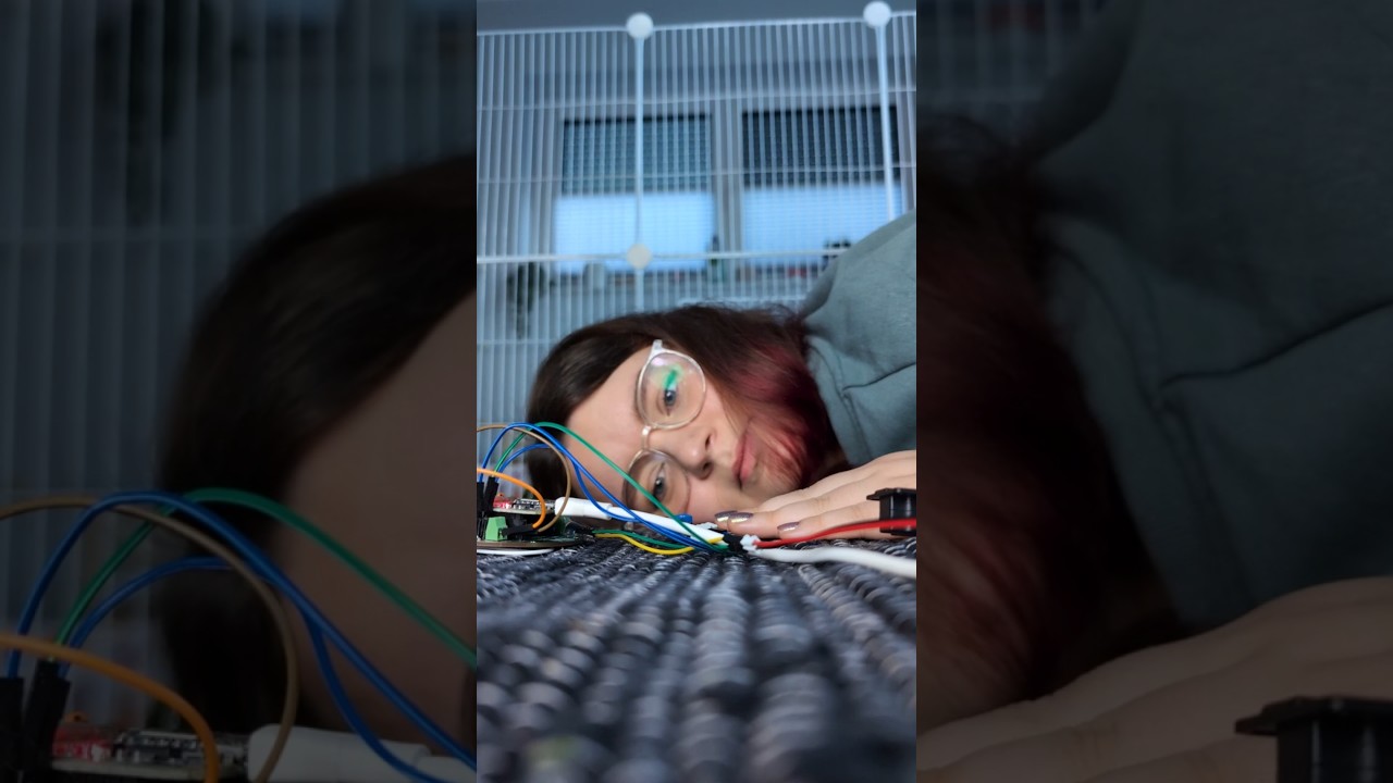 Innovatives Sprachmodul für Kaninchen: Übersetzt Gefahren in Menschensprache 🐇🤖