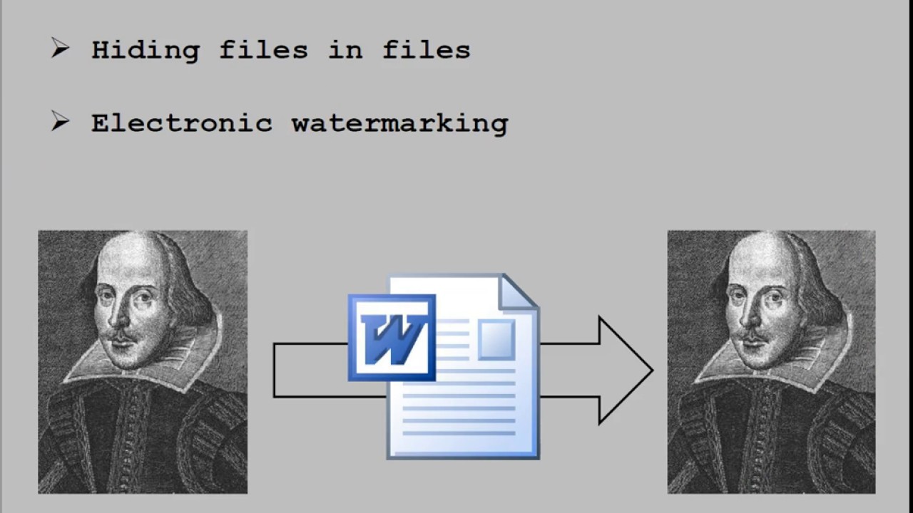 Crypto Steganography: Hidden Data in Crypto
