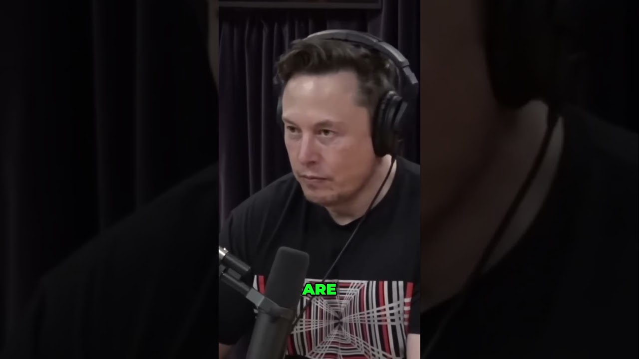 AI & Human Brain: Neural Network Insights ðŸ§