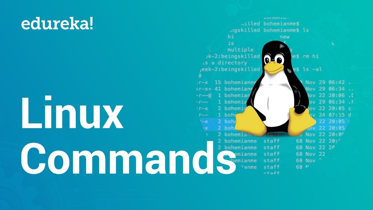 Linux Commands & Basics | Edureka Training