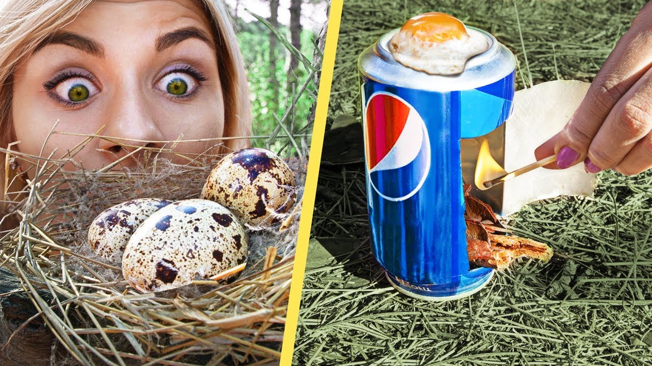 10 Ide Pintar Bertahan di Alam Liar πΏ