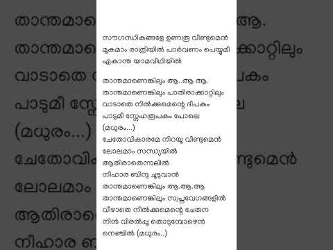  rhythm house lyrics 