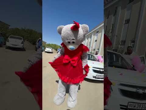 Teddi ayiqlar xizmati Xorazm 914209622 #urganch #baki #umrauzbekiston #xorazm #xiva #rek #trend