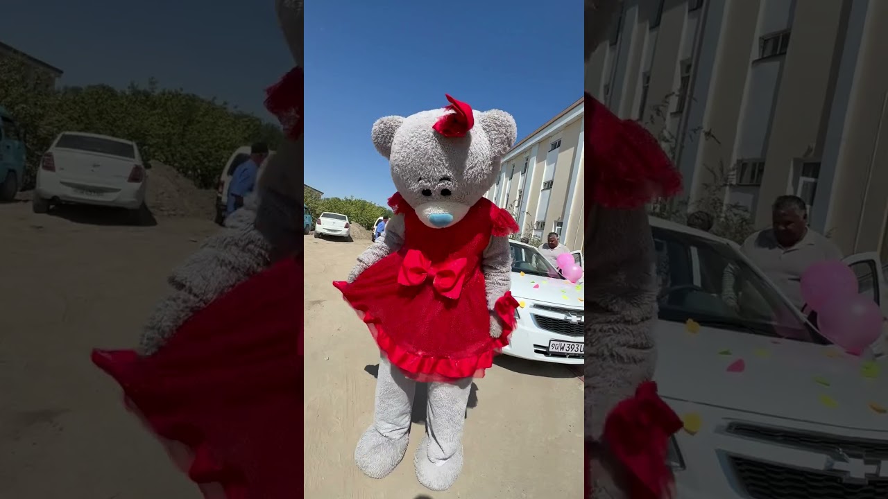 Teddi Ayiqlar Xizmati in Xorazm – Fast & Reliable Pet Care 🐾