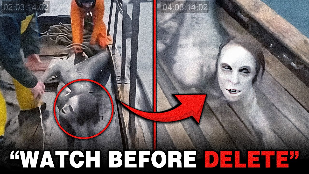 Mysterious Mermaid Sightings Caught on Camera π§ββοΈ
