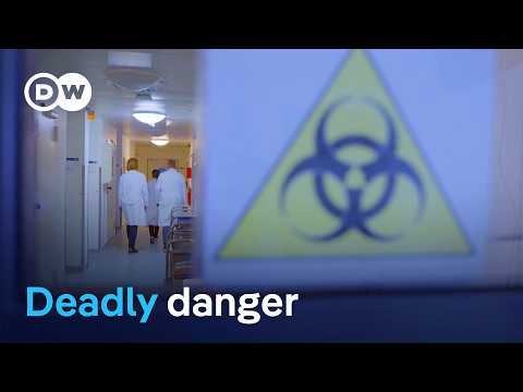 Invasive fungal infections - The new threat | DW Documentary