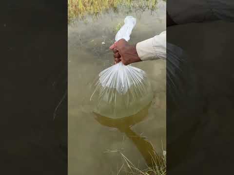 Clean water for search My Mobile ๐