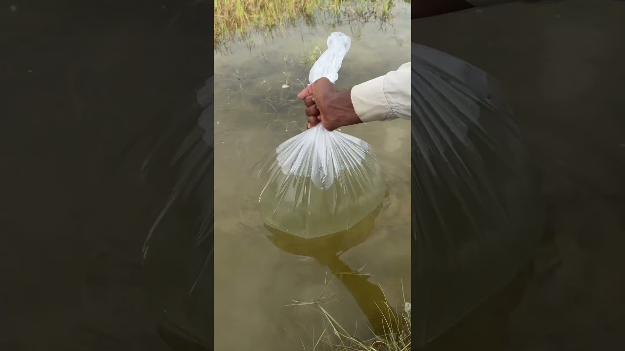 Clean Water for Mobile Search