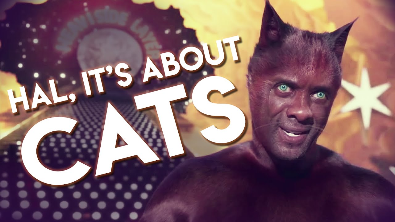 Why Do Cats Act the Way They Do? 🐱