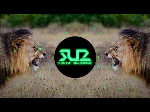 SUBODH SU2 - Lion || Indian Trap Music || 2019