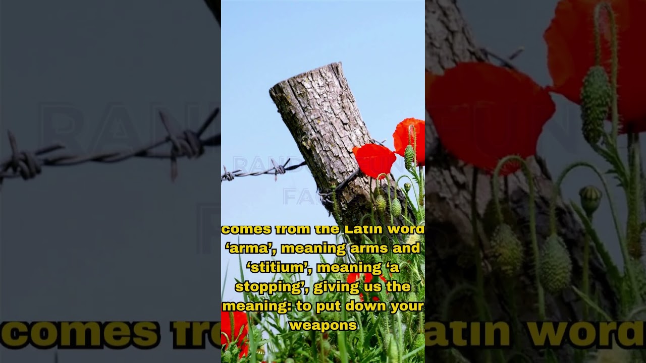 3 Key Facts About Remembrance Day 🇺🇸