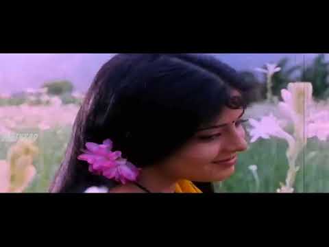 Adi Poonkuyile Kelu HD 1080p | Aranmanai Kili 1993