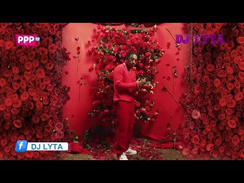 DJ Lyta's Best Bongo Mix 2023 🎶