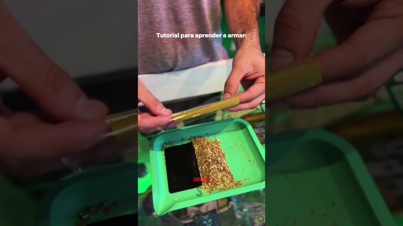 Guía Completa para Armar tu Propio BLUNT y Potenciar tu Cultivo 🌱