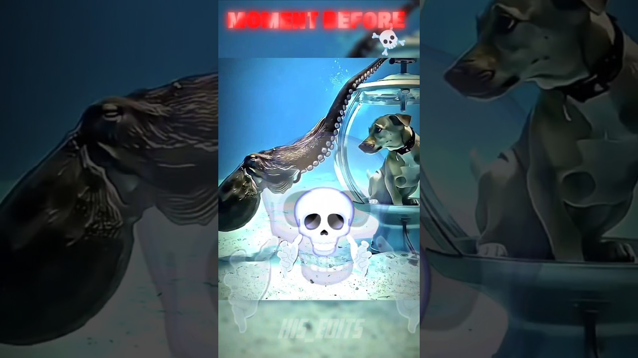 Trollface Skull Edit by Kis 😈