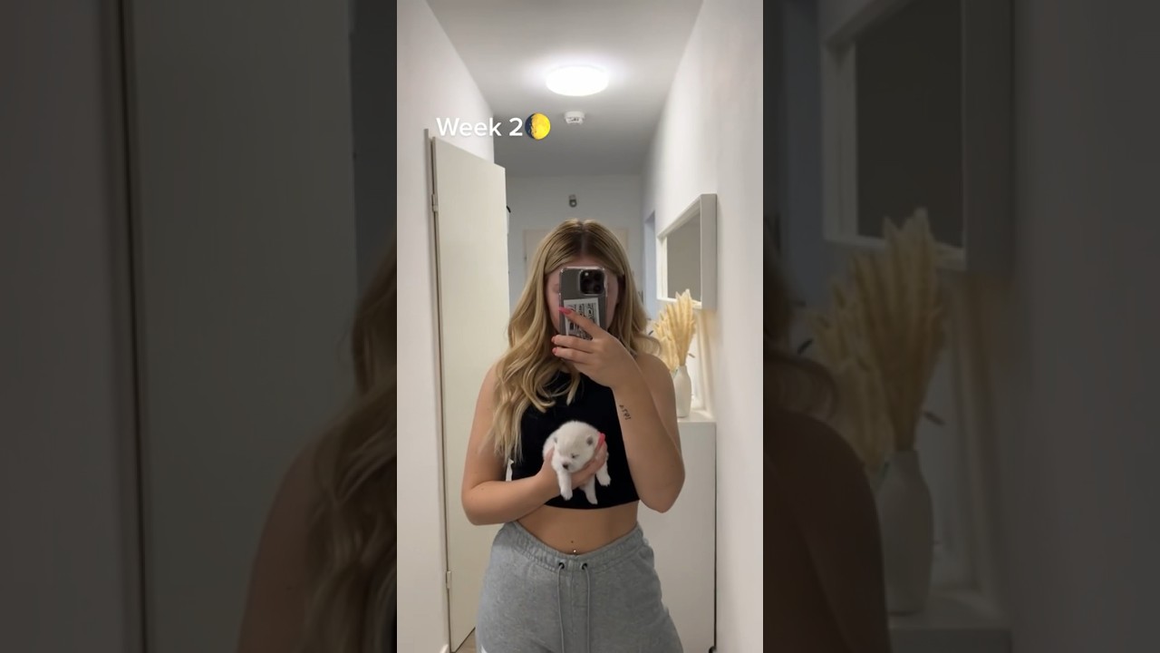 Watching My Baby Grow Up 🥹: A Heartfelt Pomeranian Journey