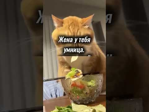 3 ноября 2025 г.