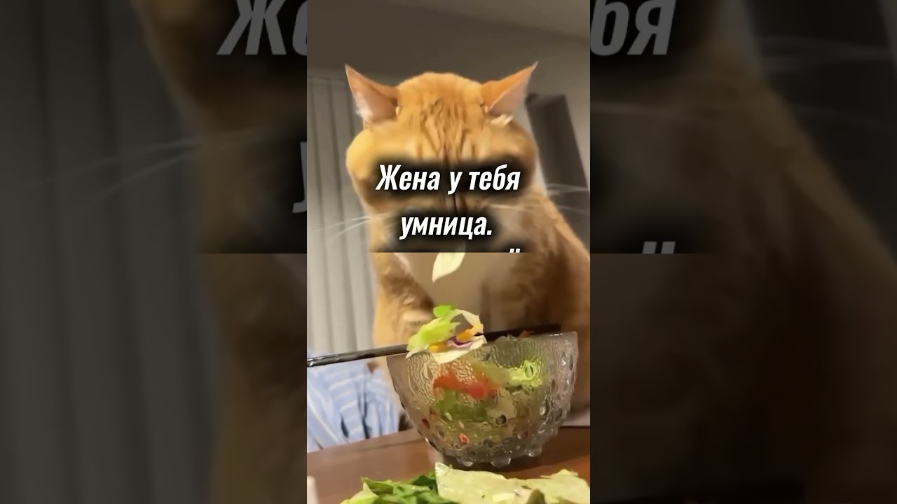 3 Что ожидает нас 3 ноября 2025 года? Узнайте главные события и прогнозы