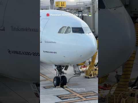 🌺 Hawaiian Airlines Airbus A330 at Honolulu International Airport (HNL) #shorts #Hawaiianairlines