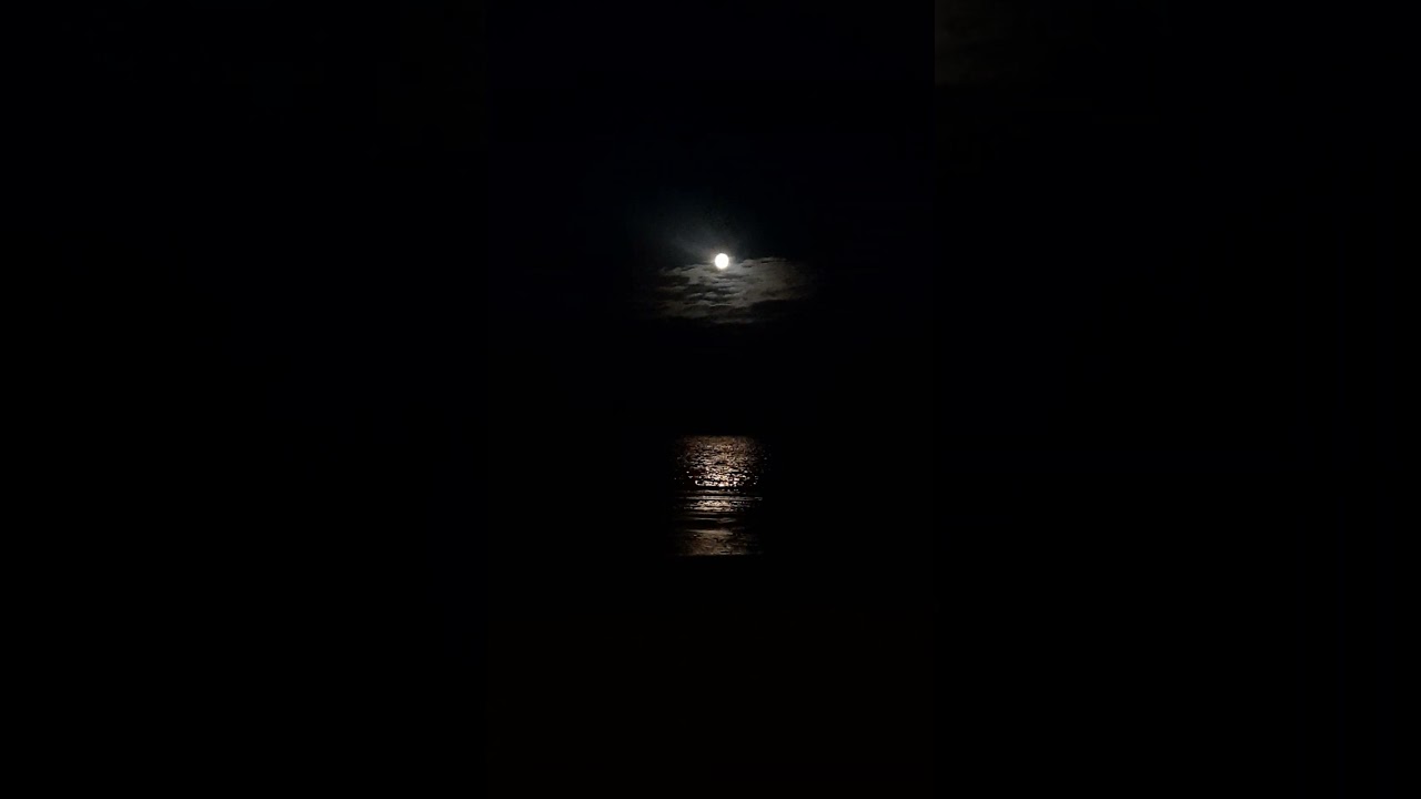 Experience the Magic of Moon River 🌙 – Nature's Romantic Night Scene