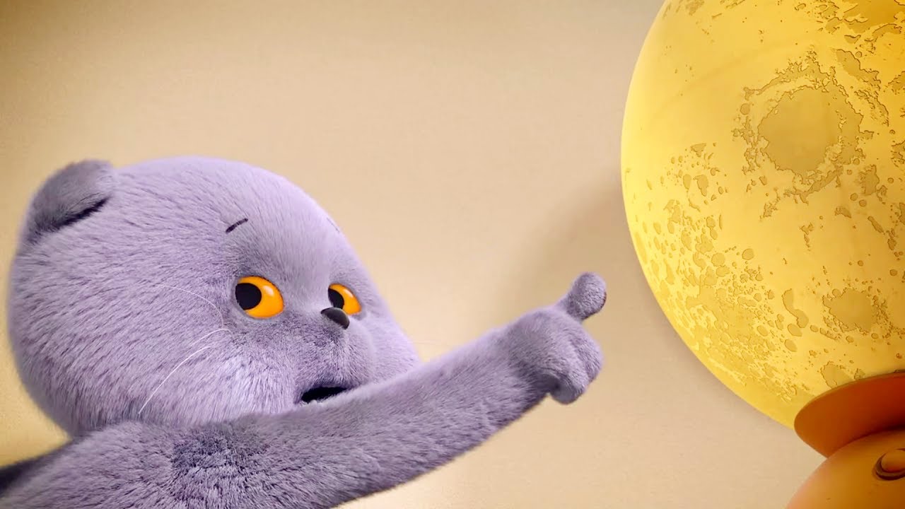 Премьера! Кот Басик — новые мультфильмы для всей семьи 🐱