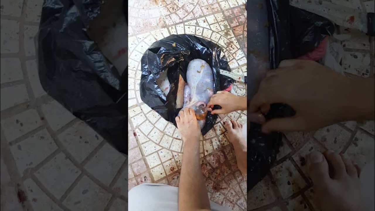 ما هو أسوأ شيء قد يحدث لك خلال عيد الأضحى؟ ⚠️